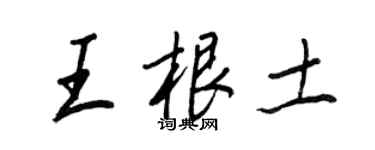 王正良王根土行书个性签名怎么写