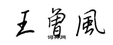 王正良王曾风行书个性签名怎么写