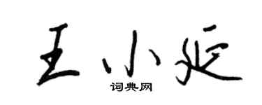 王正良王小延行书个性签名怎么写