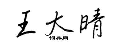 王正良王大晴行书个性签名怎么写