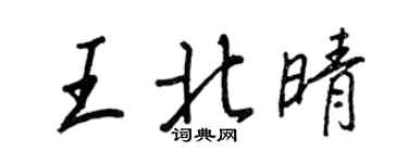 王正良王北晴行书个性签名怎么写