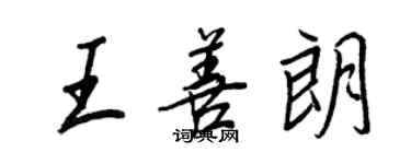 王正良王善朗行书个性签名怎么写