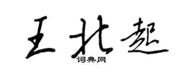 王正良王北起行书个性签名怎么写