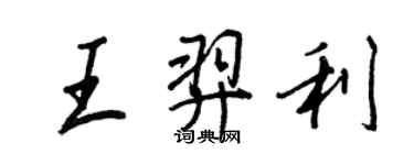 王正良王羿利行书个性签名怎么写