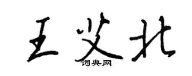 王正良王艾北行书个性签名怎么写