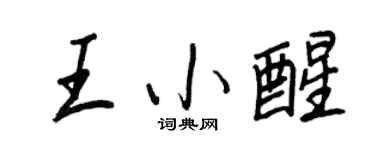 王正良王小醒行书个性签名怎么写