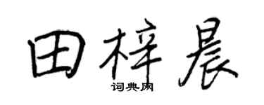 王正良田梓晨行书个性签名怎么写