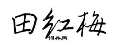 王正良田红梅行书个性签名怎么写