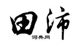 胡问遂田沛行书个性签名怎么写