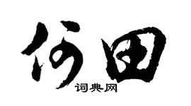 胡问遂何田行书个性签名怎么写