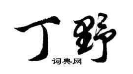 胡问遂丁野行书个性签名怎么写