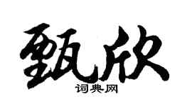 胡问遂甄欣行书个性签名怎么写