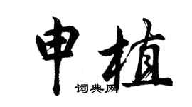 胡问遂申植行书个性签名怎么写