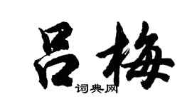 胡问遂吕梅行书个性签名怎么写