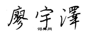 王正良廖宇泽行书个性签名怎么写