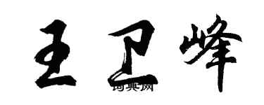 胡问遂王卫峰行书个性签名怎么写