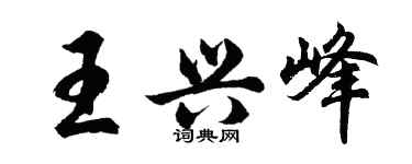 胡问遂王兴峰行书个性签名怎么写