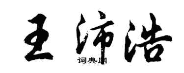 胡问遂王沛浩行书个性签名怎么写