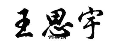 胡问遂王思宇行书个性签名怎么写