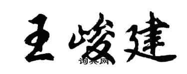 胡问遂王峻建行书个性签名怎么写