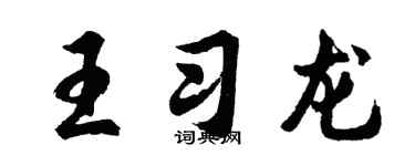 胡问遂王习龙行书个性签名怎么写