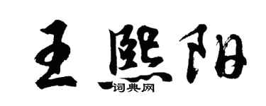 胡问遂王熙阳行书个性签名怎么写