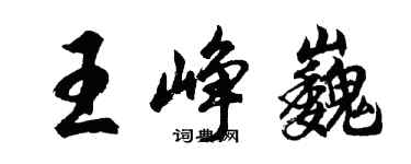 胡问遂王峥巍行书个性签名怎么写