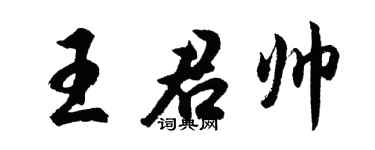 胡问遂王君帅行书个性签名怎么写