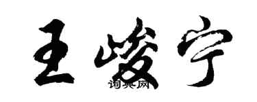 胡问遂王峻宁行书个性签名怎么写