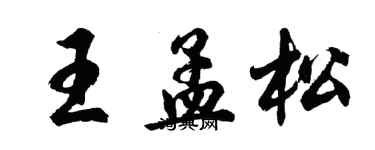 胡问遂王孟松行书个性签名怎么写
