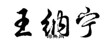 胡问遂王纳宁行书个性签名怎么写