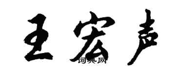 胡问遂王宏声行书个性签名怎么写