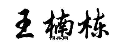 胡问遂王楠栋行书个性签名怎么写