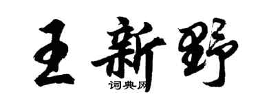 胡问遂王新野行书个性签名怎么写