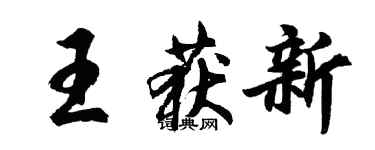 胡问遂王获新行书个性签名怎么写