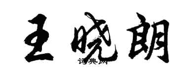 胡问遂王晓朗行书个性签名怎么写