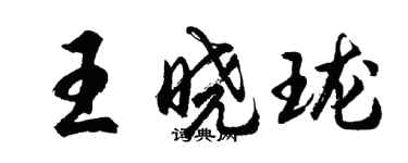 胡问遂王晓珑行书个性签名怎么写