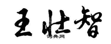 胡问遂王壮智行书个性签名怎么写