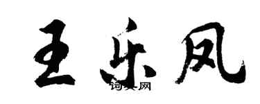 胡问遂王乐凤行书个性签名怎么写