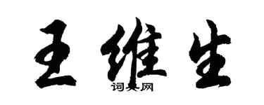 胡问遂王维生行书个性签名怎么写