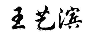 胡问遂王艺滨行书个性签名怎么写