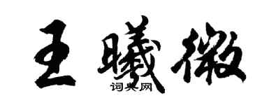 胡问遂王曦微行书个性签名怎么写