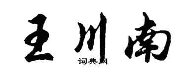 胡问遂王川南行书个性签名怎么写