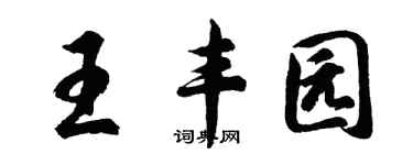 胡问遂王丰园行书个性签名怎么写