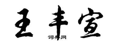 胡问遂王丰宣行书个性签名怎么写