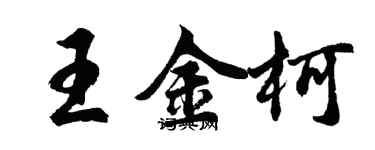 胡问遂王金柯行书个性签名怎么写