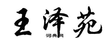 胡问遂王泽苑行书个性签名怎么写