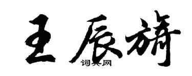 胡问遂王辰旖行书个性签名怎么写