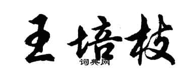 胡问遂王培枝行书个性签名怎么写