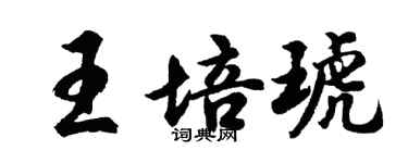 胡问遂王培琥行书个性签名怎么写